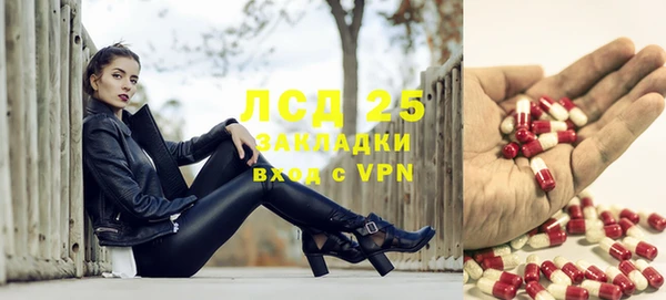 стафф Алзамай