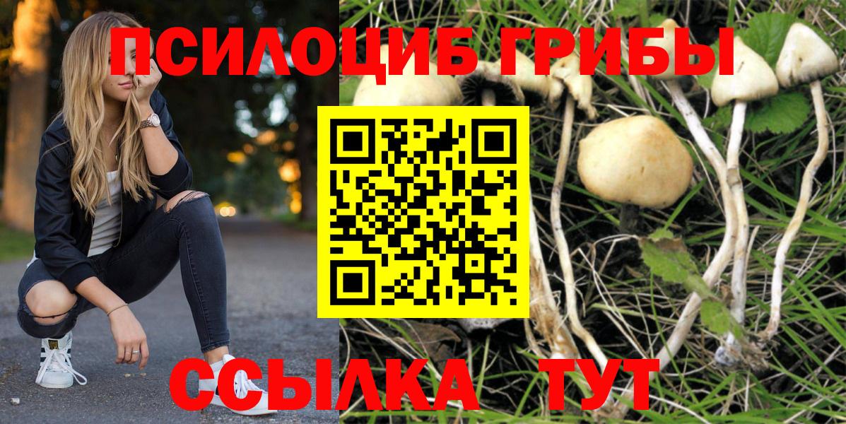 Галлюциногенные грибы мицелий Киреевск