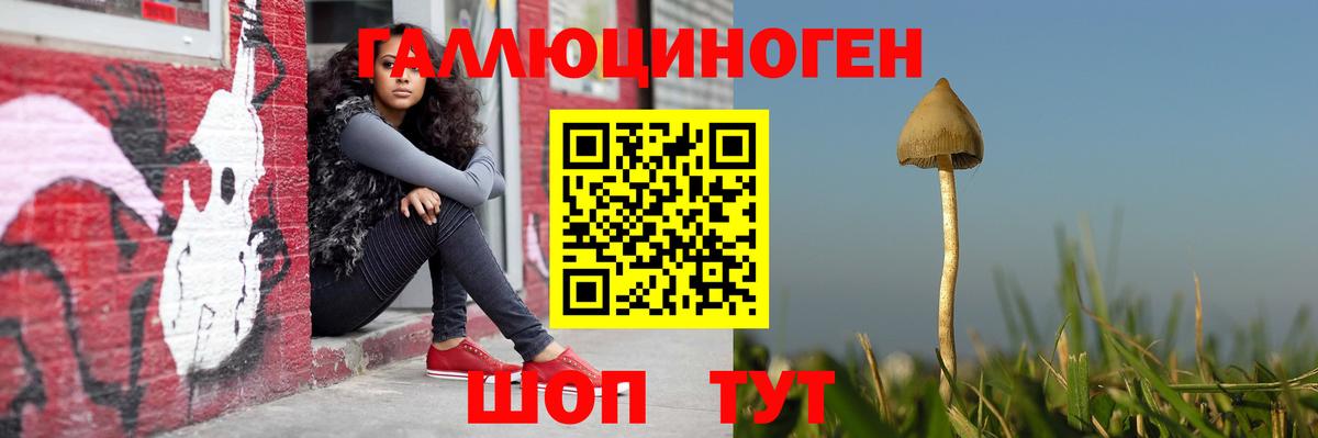 Галлюциногенные грибы мицелий  Вход с VPN  Киреевск 