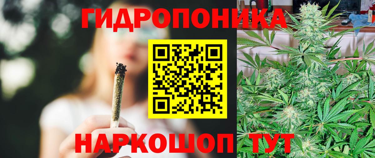 Бошки Шишки сатива Киреевск